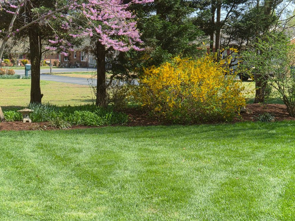 Landscaping  for 4 Points Lawncare LLC in Hayes, VA