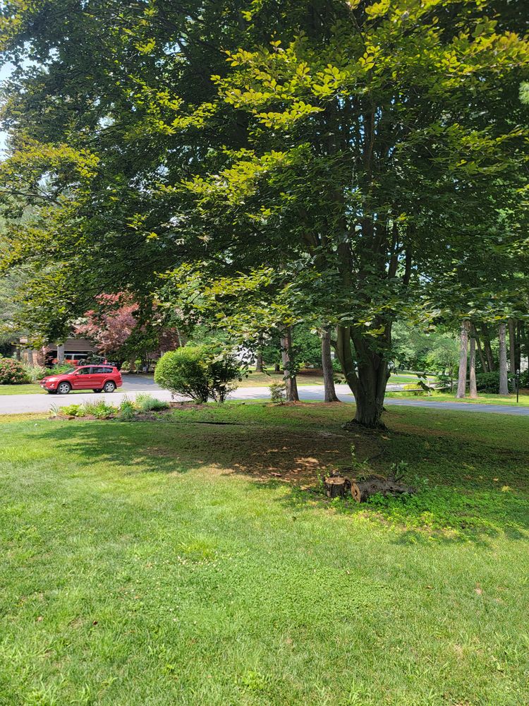 All Photos for Sweet Scapes in Ballston Spa, NY