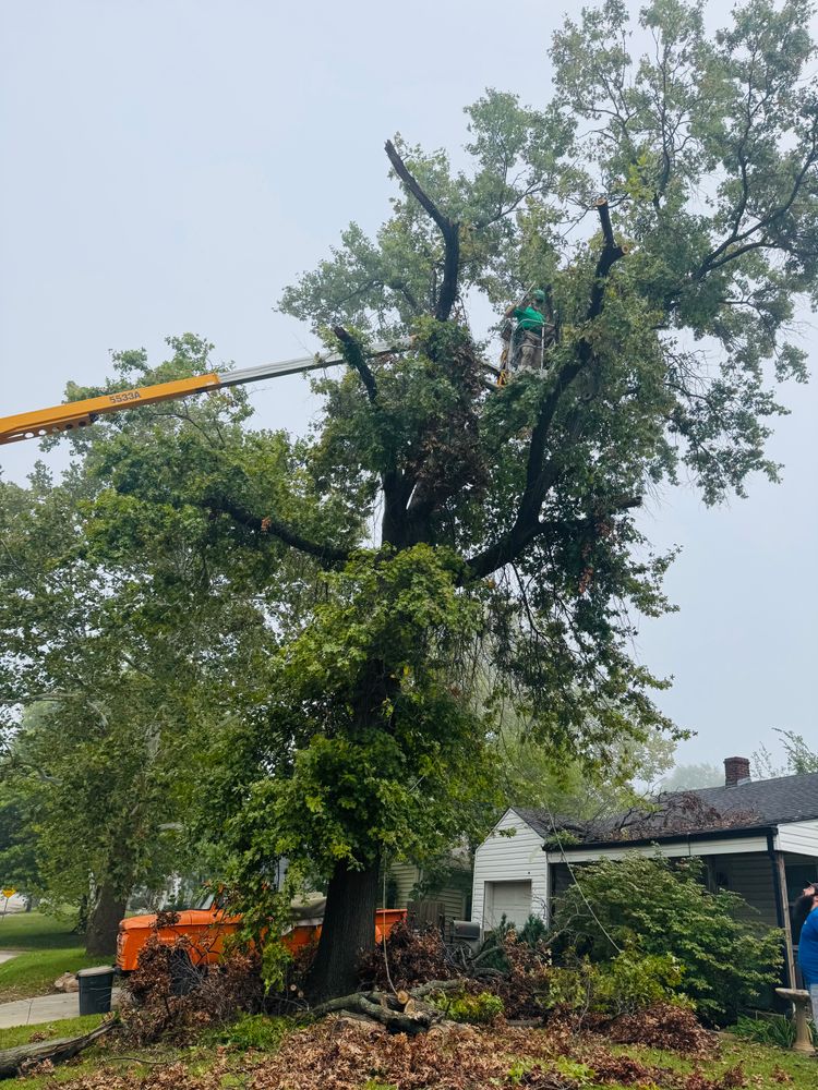 All Photos for Tree Life Tree Service in Wichita, KS