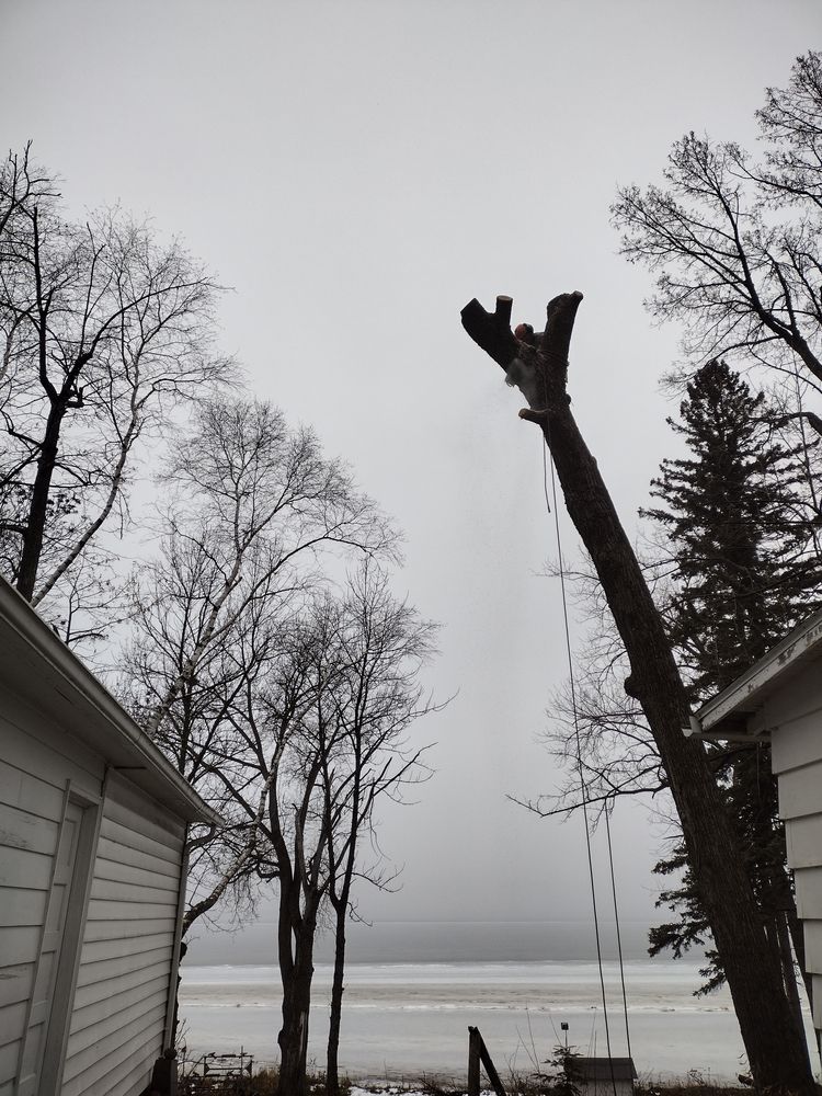 All Photos for Dan's Tree Service LLC in Bemidji, MN