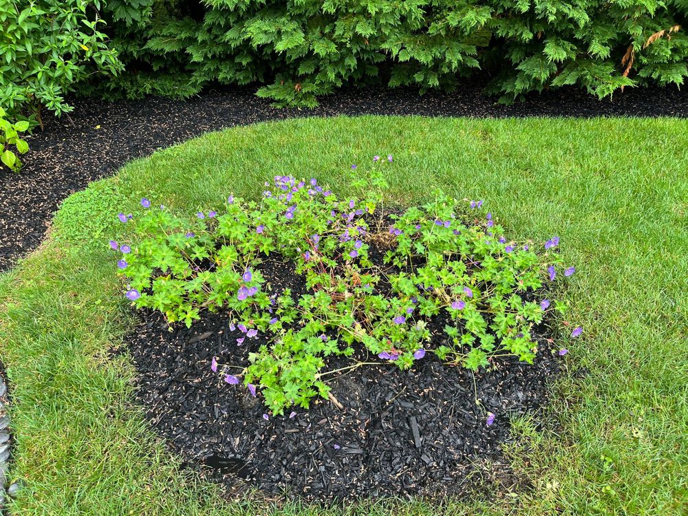 All Photos for Elegant Lawns & Landscaping in Inwood, NY