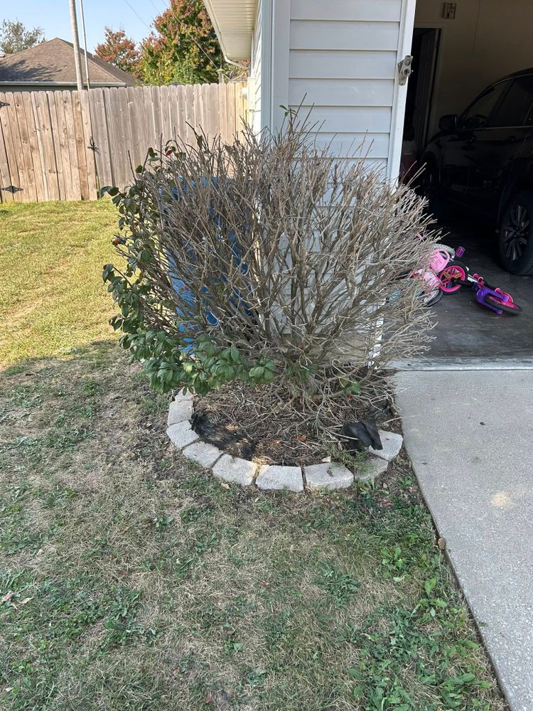 All Photos for Mowraculous in Republic, MO