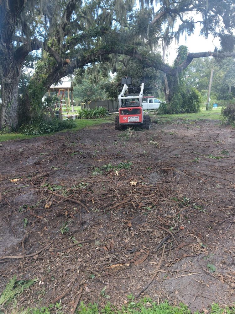 All Photos for Bills Tree Service in Valrico, FL