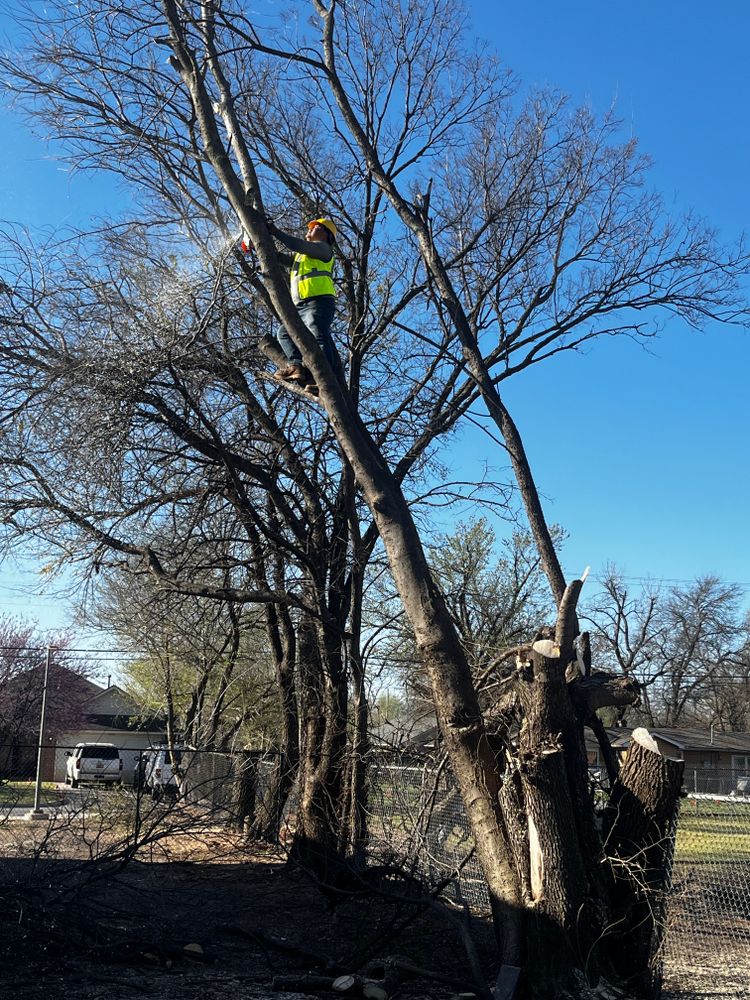 All Photos for Urban Lawn & Landscape in Oklahoma City, OK