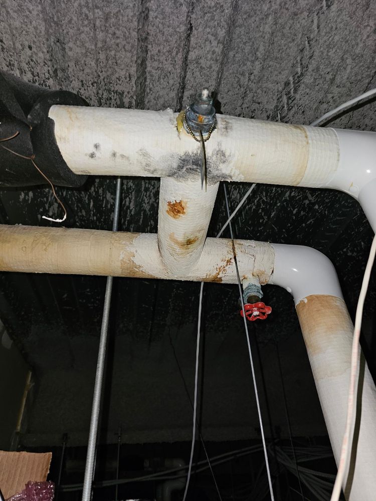 All Photos for The Painter in Citrus Heights, CA