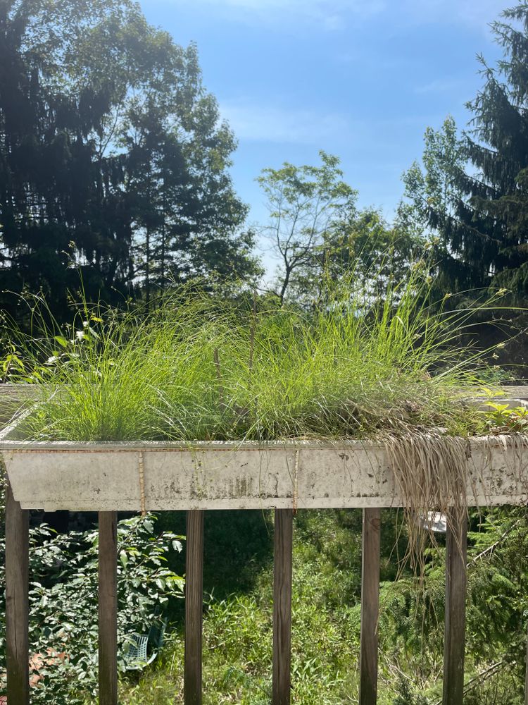 All Photos for Galactic Reiki in Mount Pocono, PA