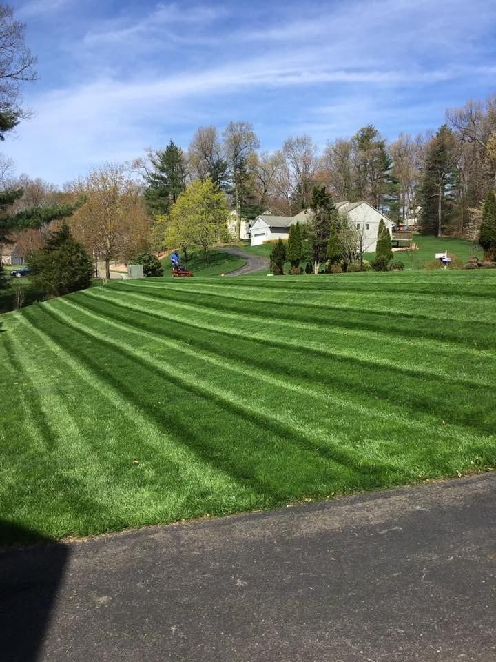 Fall and Spring Clean Up for GM Landscaping  Construction LLC in Philadelphia, Pennsylvania