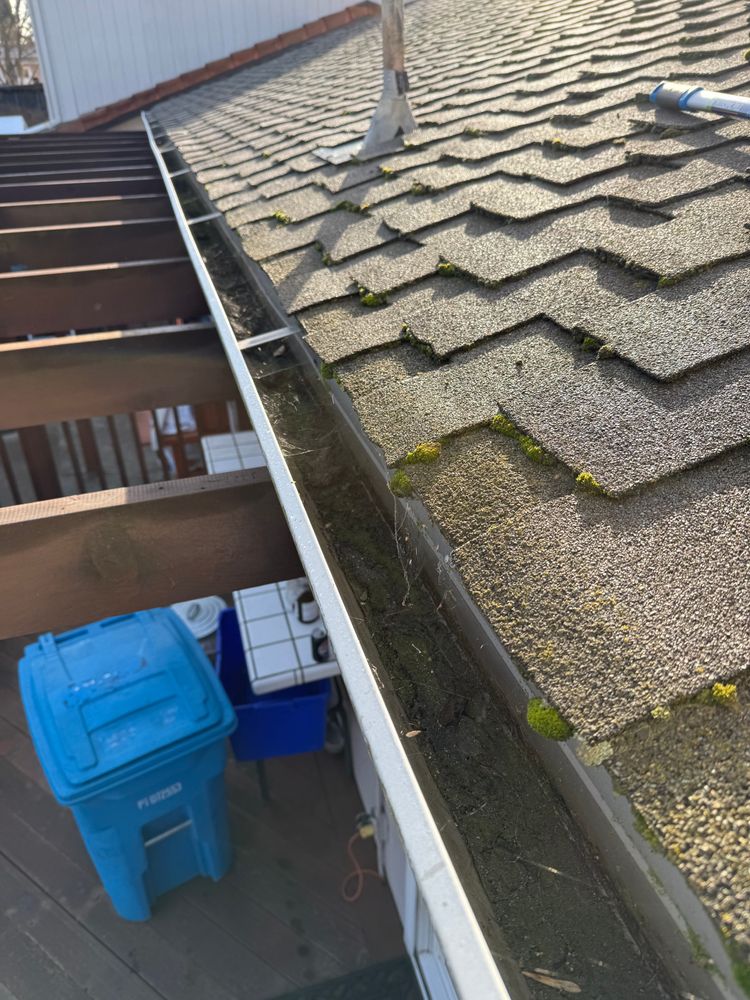 Moss Removal  for GGG Home Services in San Jose, CA