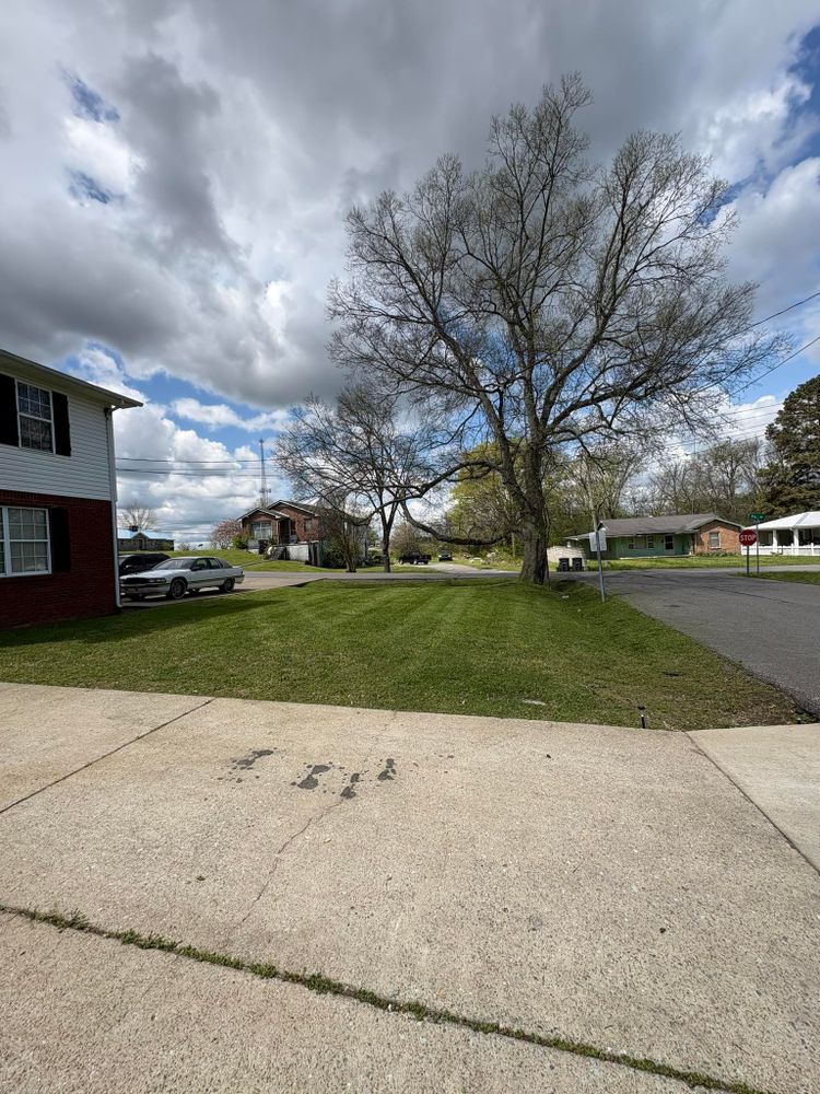 All Photos for Platinum Lawncare in Fayetteville, TN