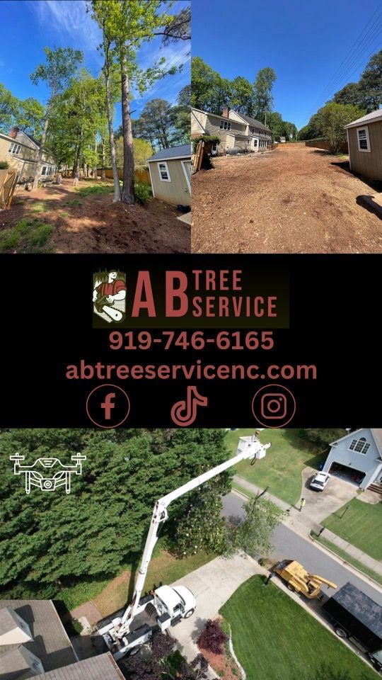 All Photos for AB Tree Service in Raleigh, NC