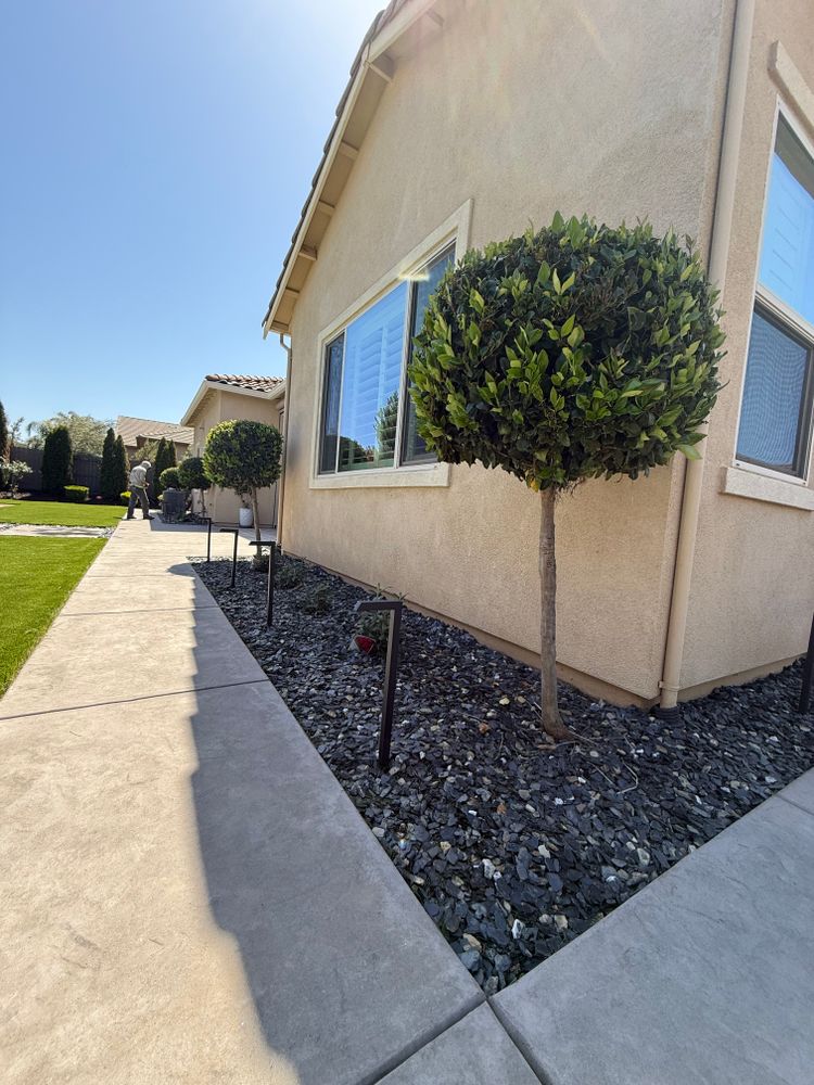 All Photos for Diamond Landscape & Hardscape in Diamond Springs, CA