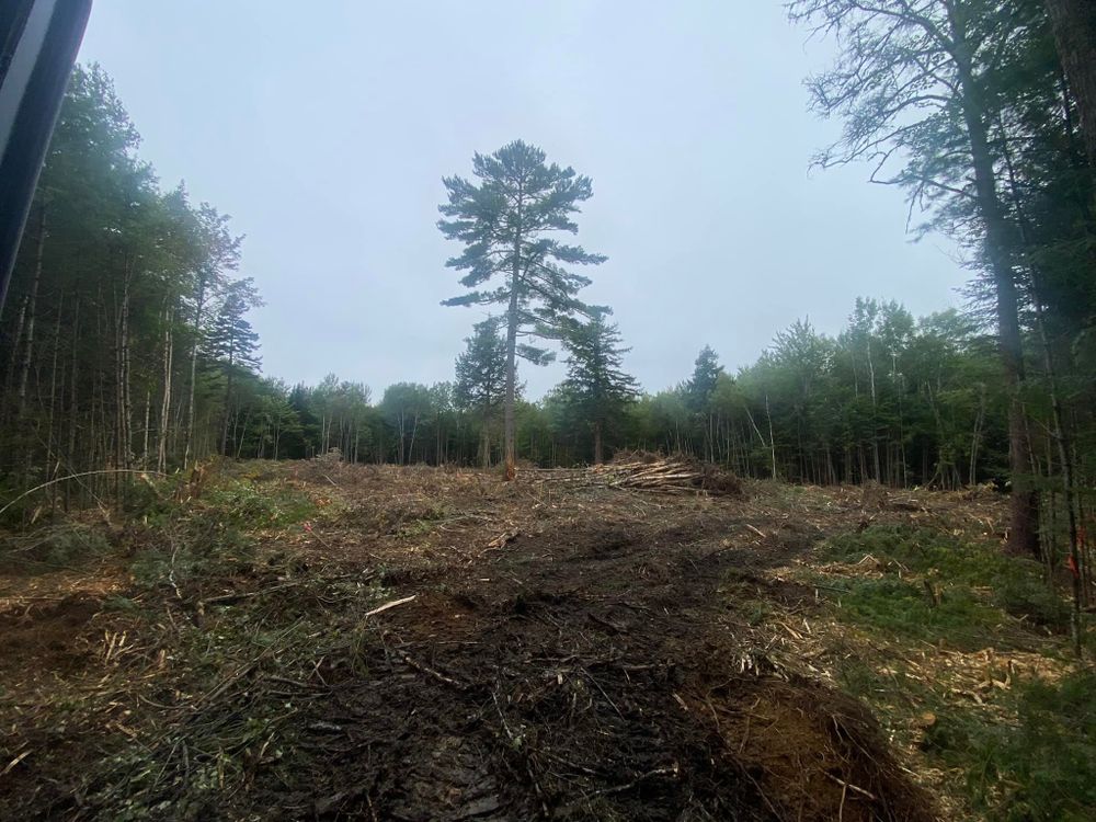 Excavation for Gardner Road Company in Winn, ME