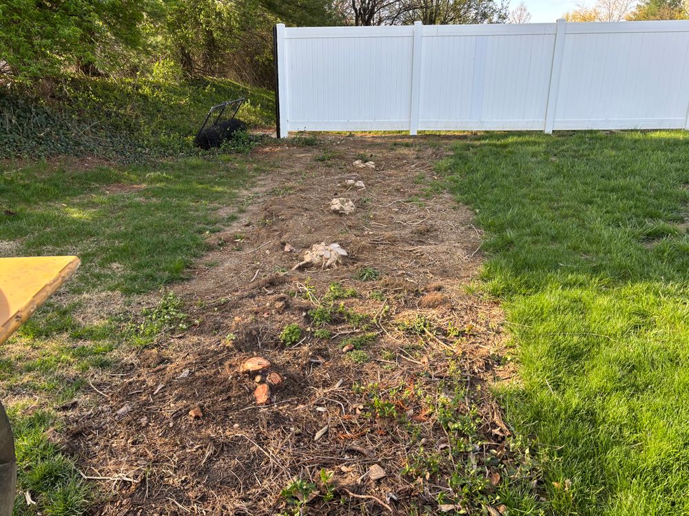 All Photos for Conrad's Stump Removal in Columbus, IN