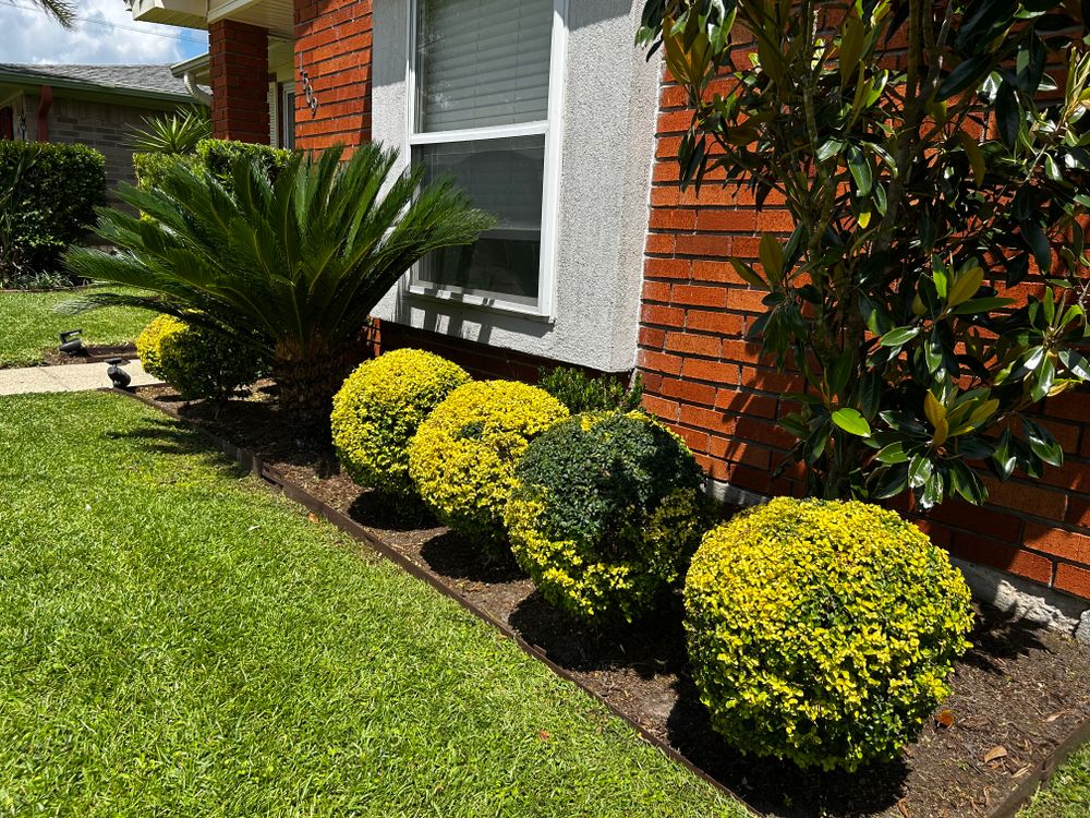 All Photos for Jay C’s Touch Landscaping & Pressure Washing Services LLC in Marrero, LA