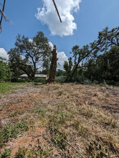 All Photos for Regal Tree Service and Stump Grinding in Wauchula, FL