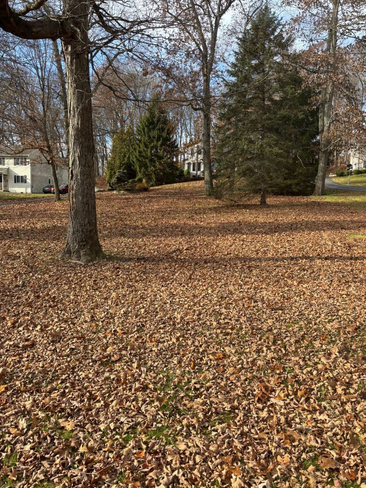 All Photos for Ardisi Property Maintenance LLC in Poughkeepsie, NY 