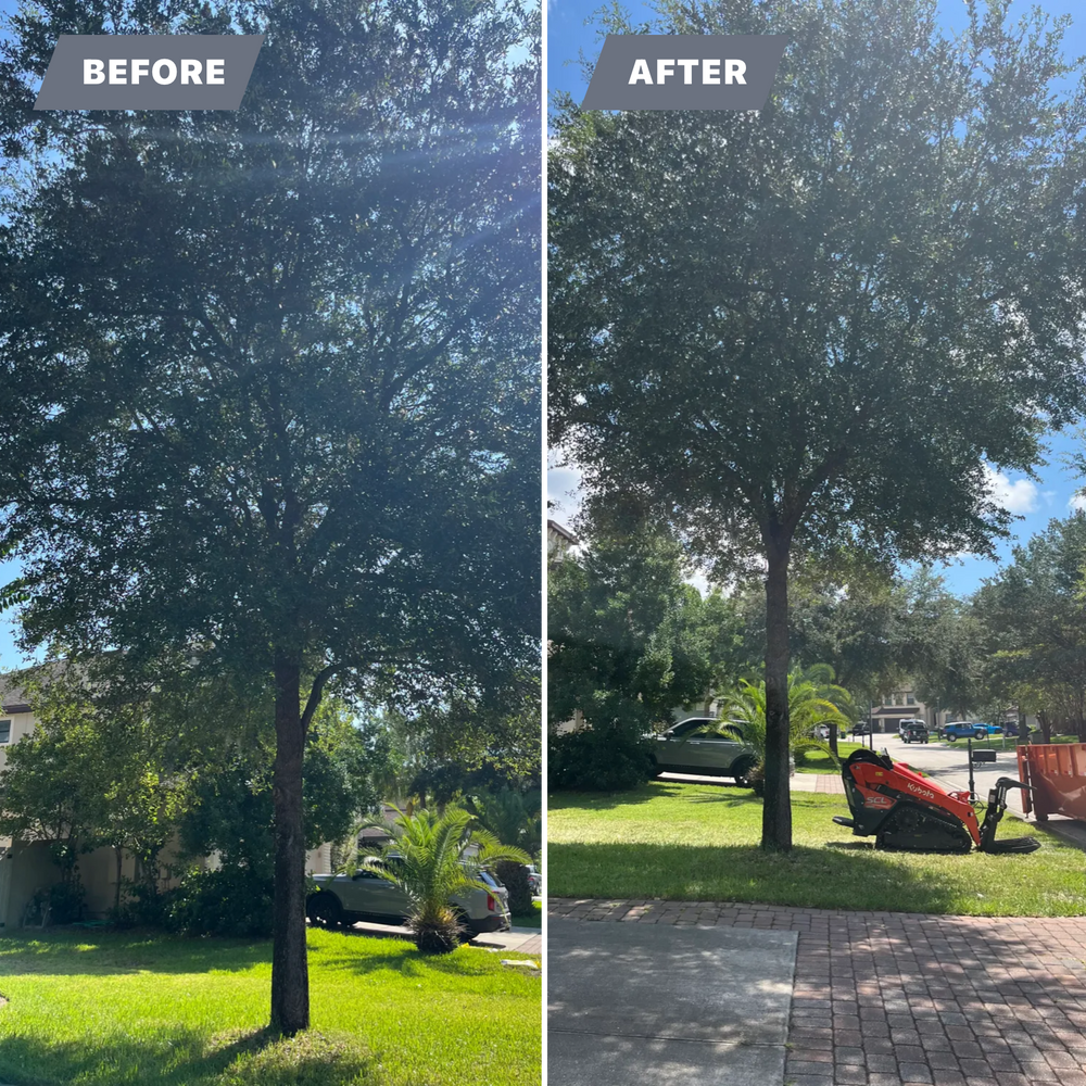 All Photos for Top Notch Tree Experts in Orange Park, FL