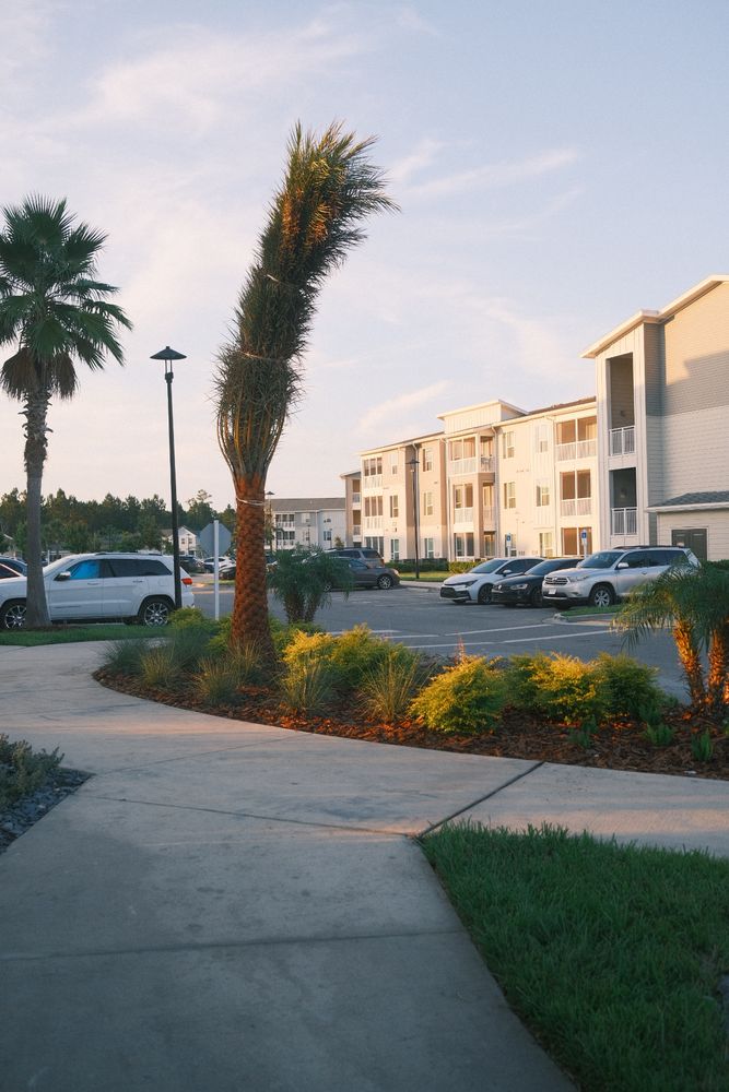 Wildlight for Pro Designs Landscaping in Jacksonville, FL