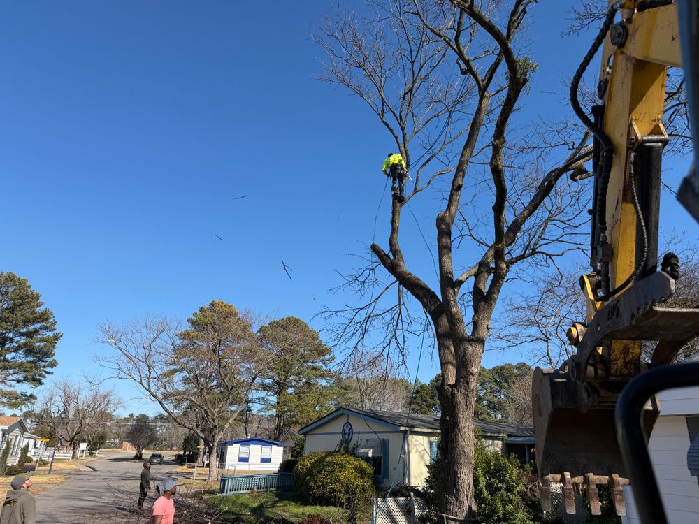 All Photos for Tidewater Tree Service in Chesapeake, VA