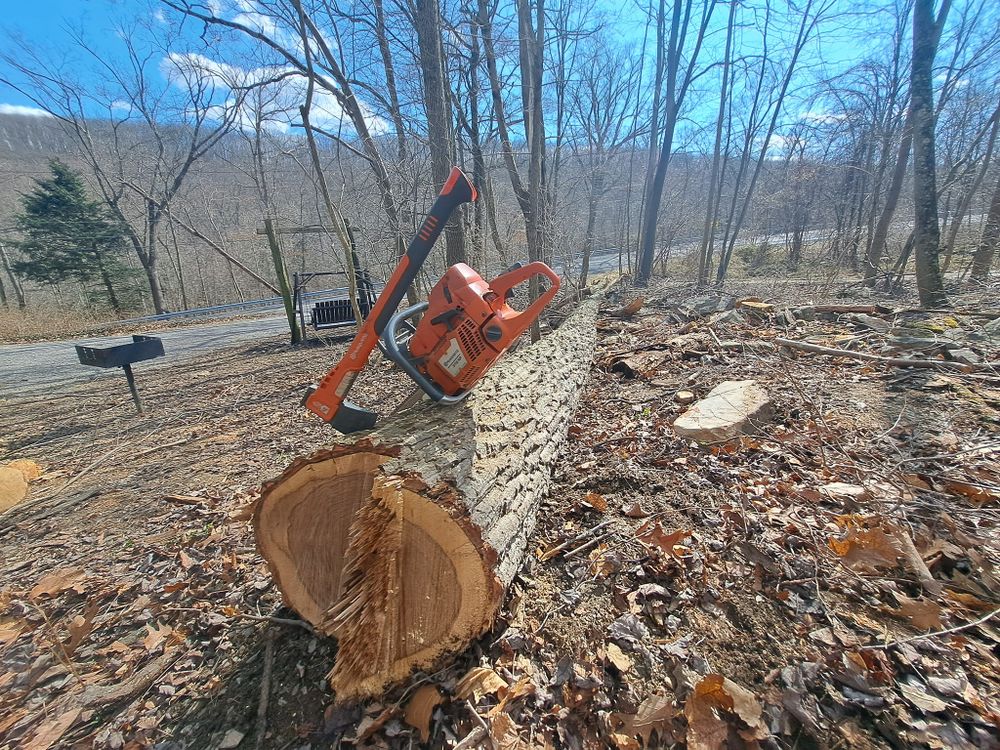Tree Removal for Beckenbaugh Tree & Lawn Service in Lewistown, PA