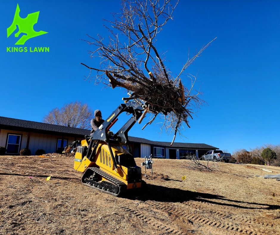 Landscaping for KINGS LAWN SERVICE LLC in Amarillo, TX