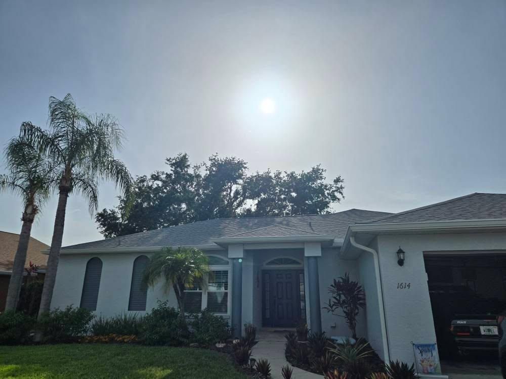 All Photos for TREE BOYS in Ruskin, FL