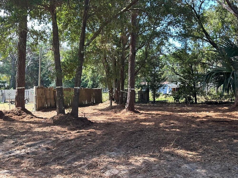 All Photos for White’s Land Maintenance in Milton,, FL