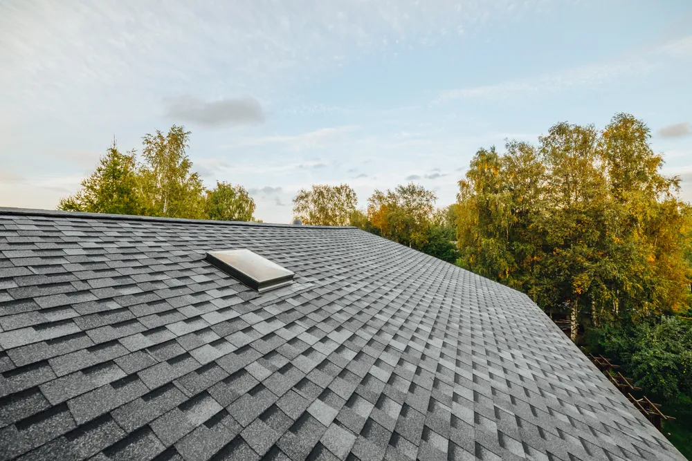 Our roof replacement services offer homeowners durable and reliable solutions, ensuring long-lasting protection with quality materials and expert craftsmanship for a worry-free home environment in any weather conditions. for I Need A Roofer Inc. in Akron, OH
