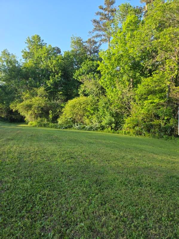 All Photos for ACE Lawn Care of Georgia LLC in Atlanta, GA