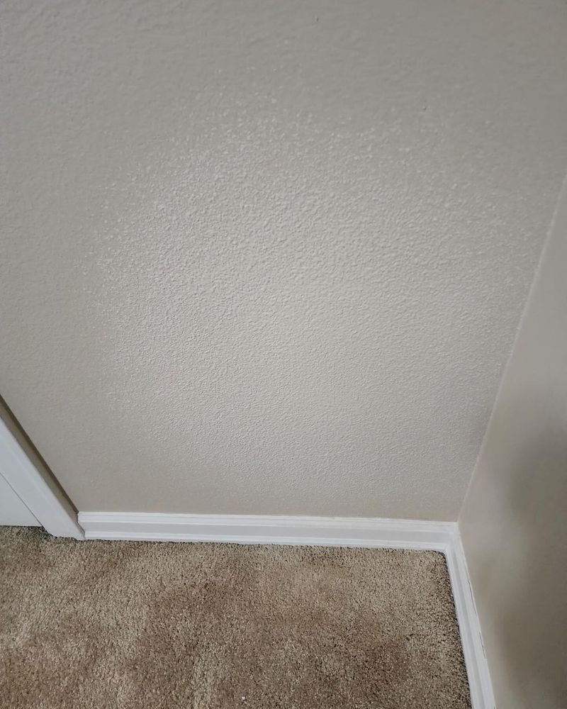 Interior Painting for Perfection Painting and Pressure Washing LLC in Pasco, WA