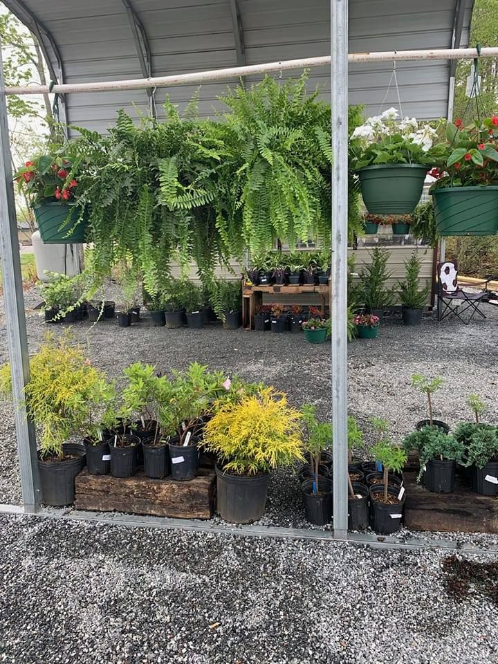 Hardscaping for Hidden Springs Enterprise in Rutherford, NC