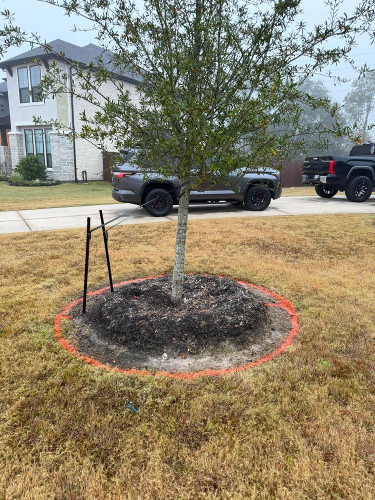 All Photos for Texas Curb N Borders in Houston, TX