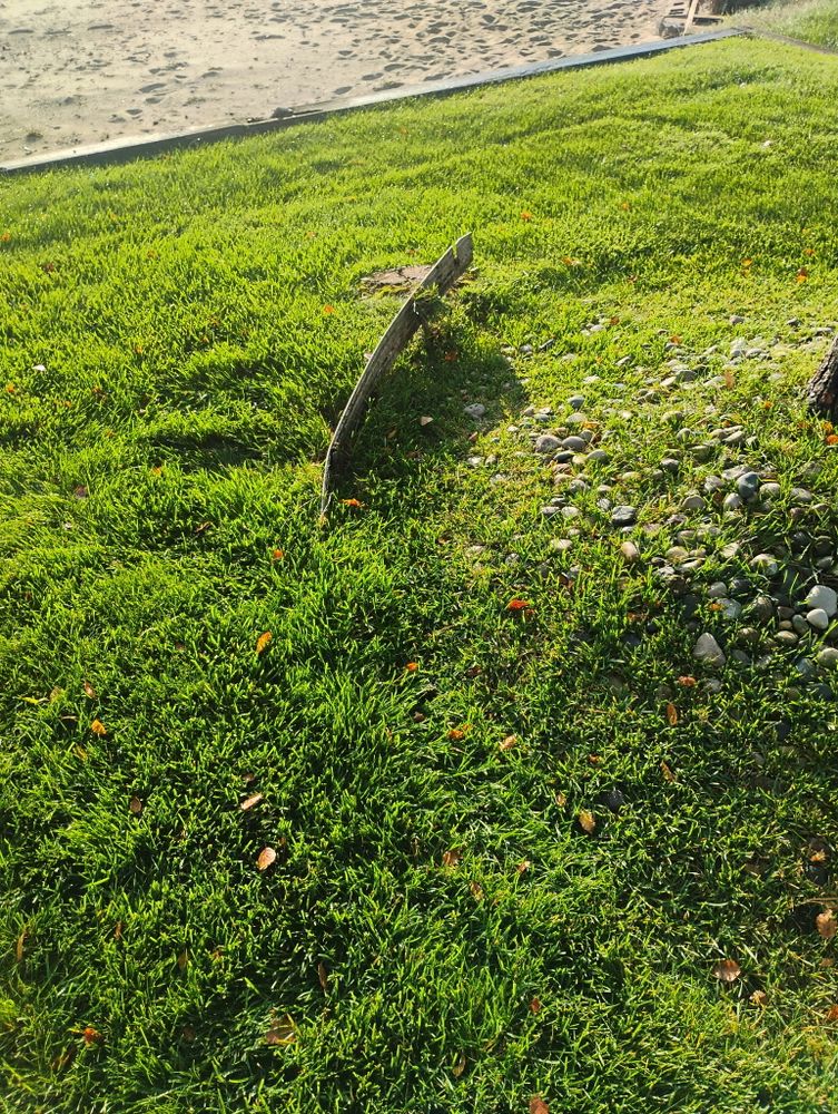 All Photos for Lighthouse Lawn Care and Irrigation in Marysville, MI