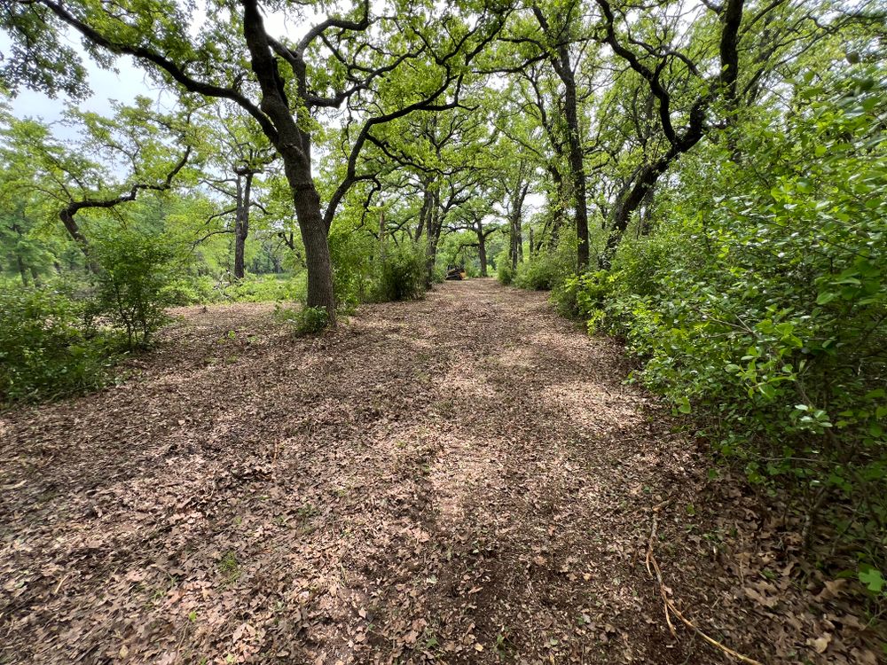 Our Underbush & Pasture Mowing service helps you maintain a clean and well-kept outdoor space by efficiently clearing overgrown vegetation in your land, promoting safety and enhancing the aesthetics. for D&D Custom Services in Jacksboro,  TX