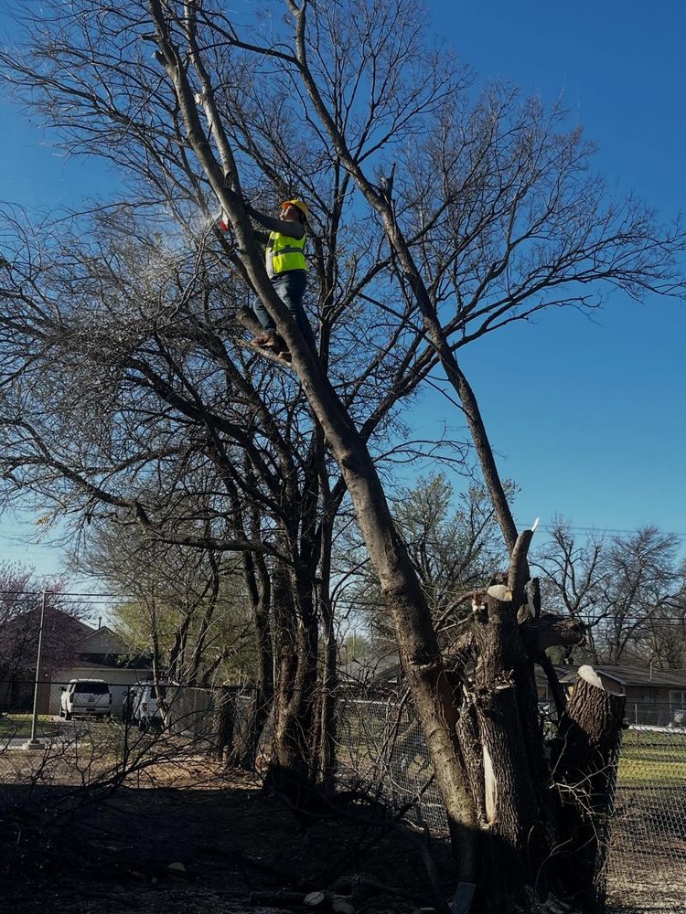 All Photos for Urban Lawn & Landscape in Oklahoma City, OK