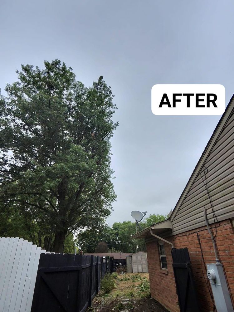 All Photos for F & F Tree Service in Beavercreek, OH