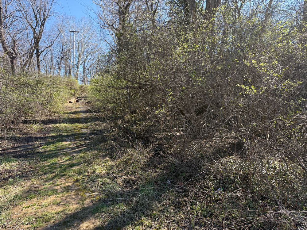 All Photos for A1 Bush Hogging & Lawn Service in London, OH