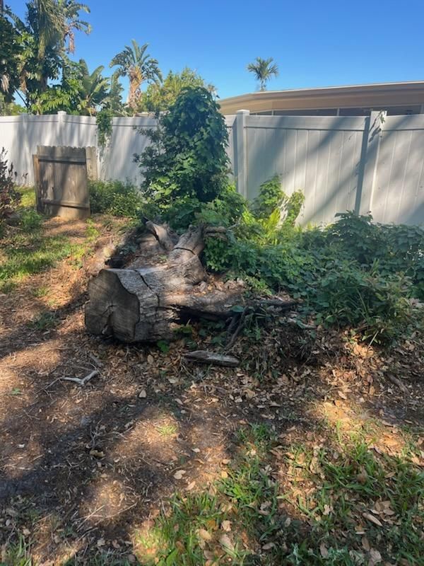 All Photos for KB’s Stump Removal in Pinellas county, FL