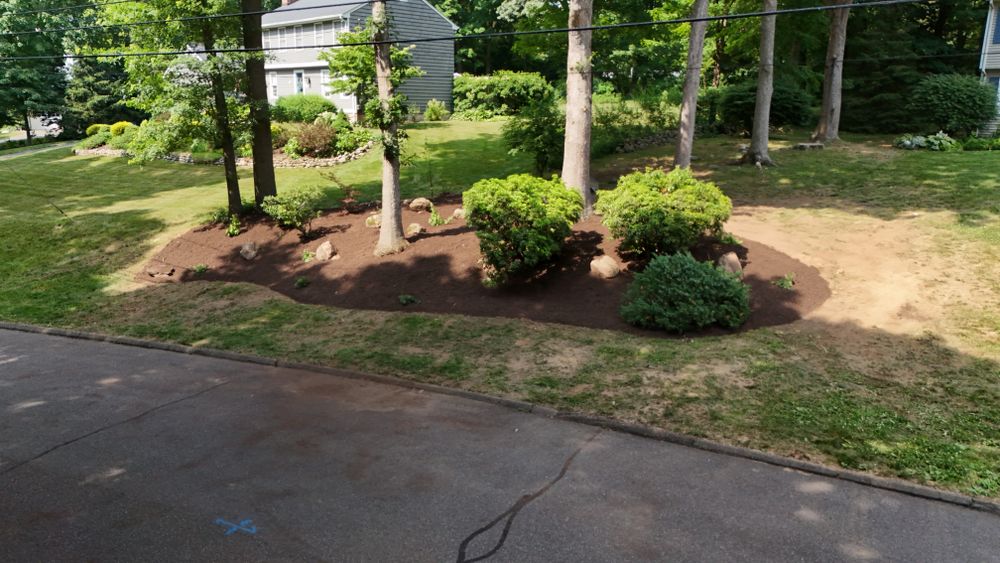 Landscape & Bed Design for Ace Landscaping in Trumbull, CT