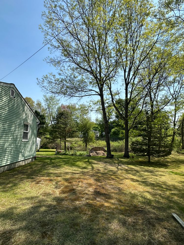 All Photos for Leaf and Limb in Townsend, MA