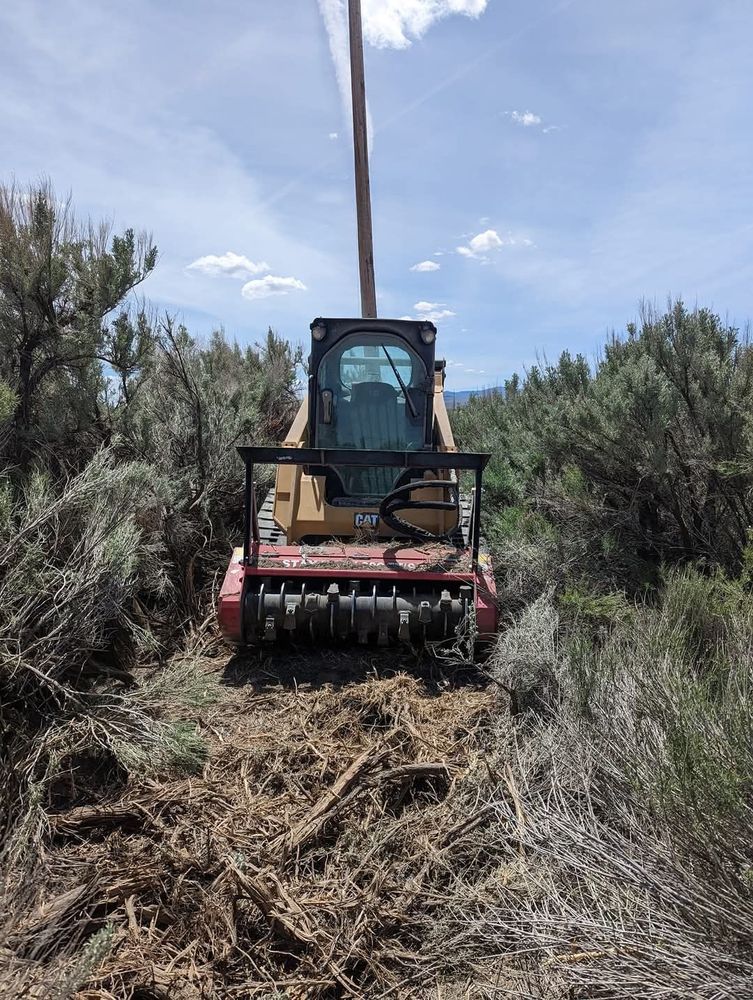 All Photos for Bailey's Cutting LLC in Bend, Oregon