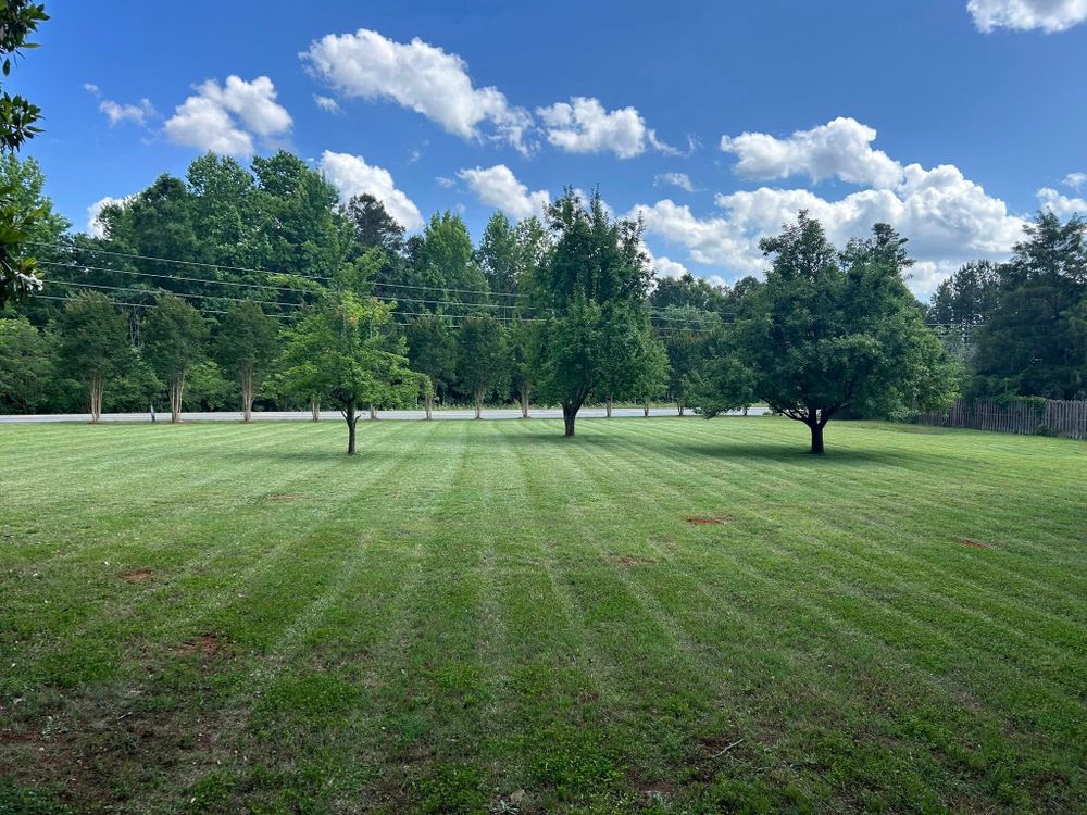 Lawn Care for Durham Right Lawn Services in Rock Hill, SC