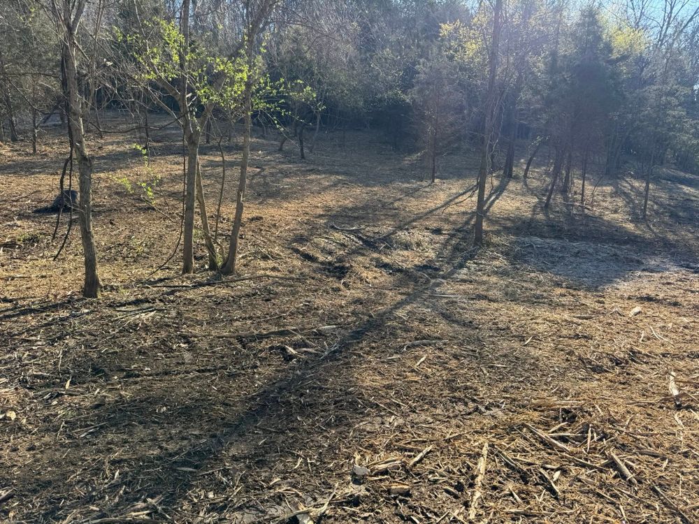 Our land clearing service removes trees, brush, stumps, and debris safely and efficiently, preparing your property for construction, landscaping, drainage improvement, or expansion while protecting surrounding areas. for Barkers Outdoor Services in Hamilton, OH