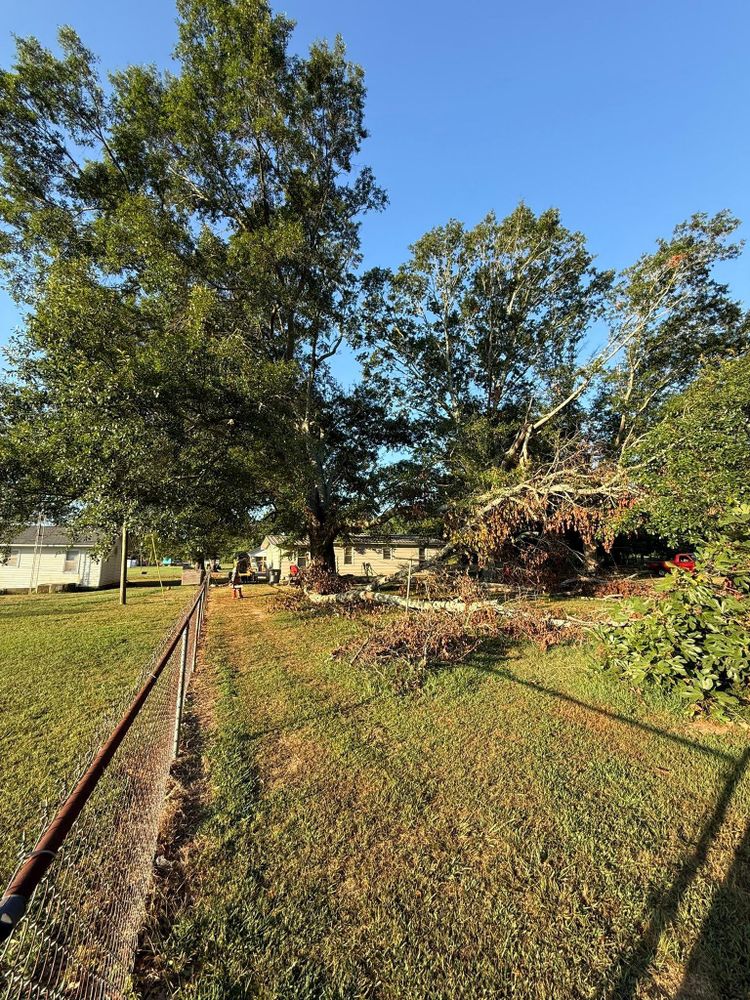 All Photos for Mud Creek Vegetation Management in Russellville, AL
