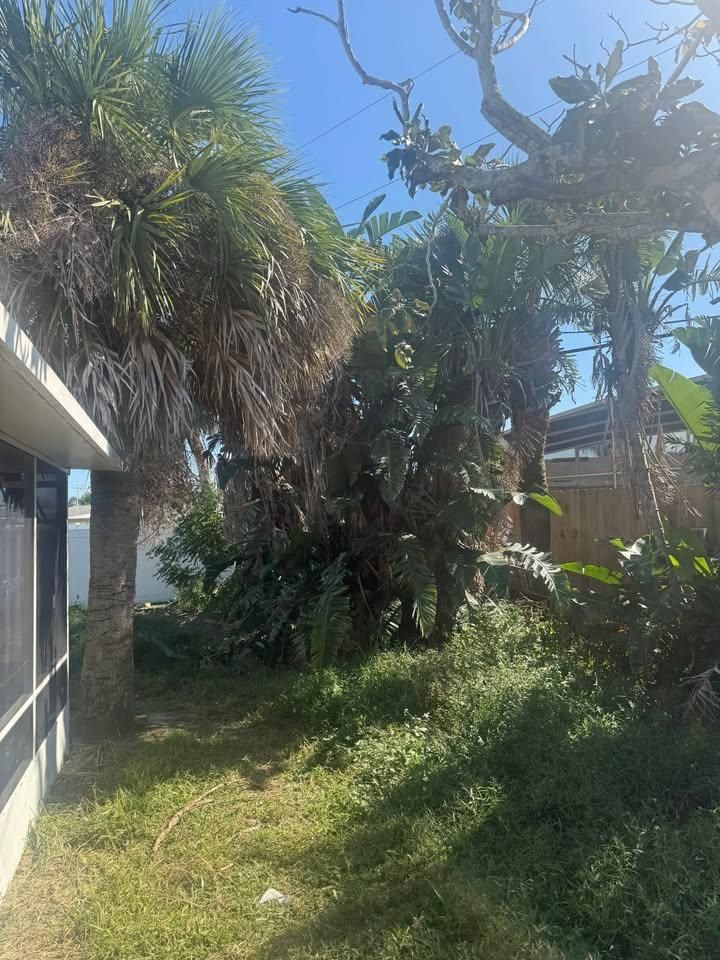 All Photos for Grind Time Tree Service in Daytona, FL