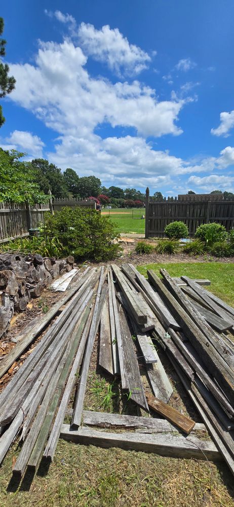 All Photos for Beach Tree Care in Virginia Beach, VA