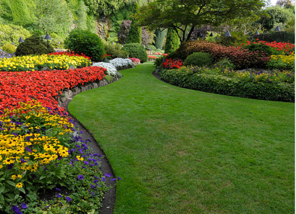 Our landscaping service provides any home or business with beautiful, well-manicured yards that add curb appeal and value to their homes. Our professional staff are experts in horticulture and landscape design, and use only the highest quality materials to create stunning landscapes that will last for years. for DG Stone & Landscaping Designs in DuPage County, Illinois