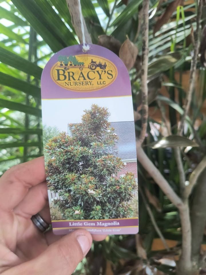 All Photos for Starnes Hardscapes & Property Management LLC in Dunlap, TN