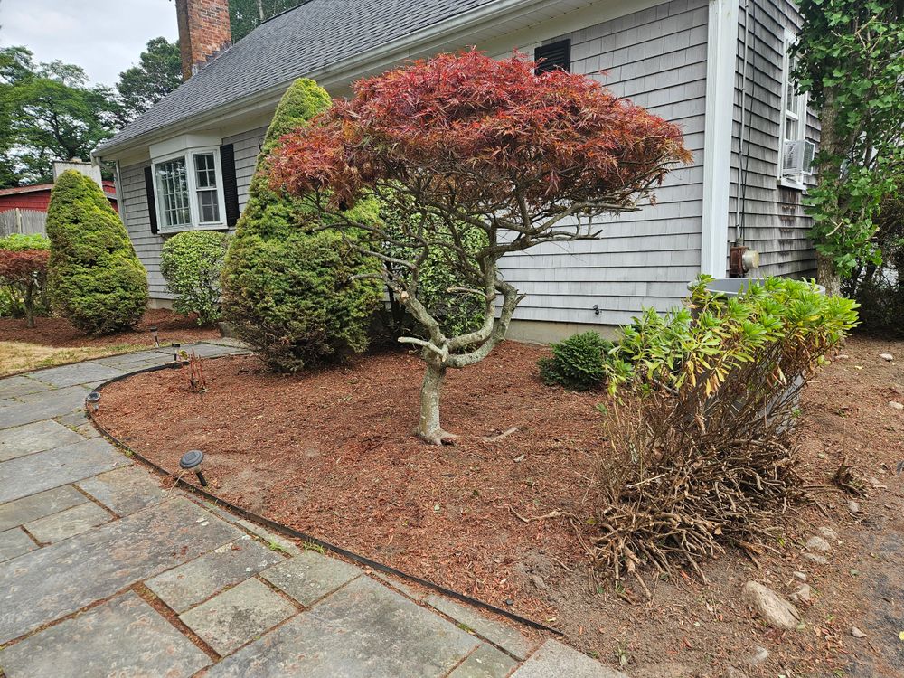 All Photos for Lawn Shark Landscaping in Monument Beach, MA