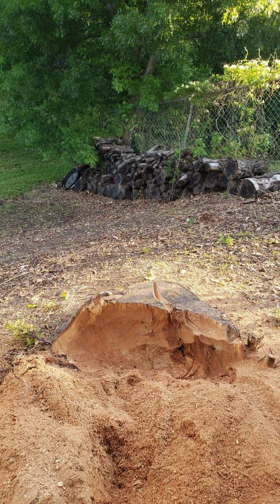 All Photos for Paquito's Landscaping in Ellis County, TX